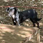 20250816-fotos-fiona-1