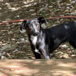 20250816-fotos-fiona-3