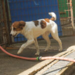 20250816-fotos-friedrich-03