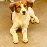 20250816-fotos-friedrich-07