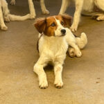 20250816-fotos-friedrich-11