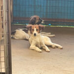 20250816-fotos-friedrich-12