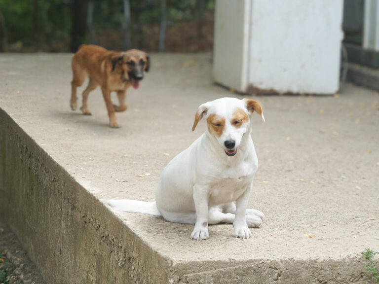 20250816-fotos-gabriella-1