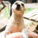 20250816-fotos-inessa-2