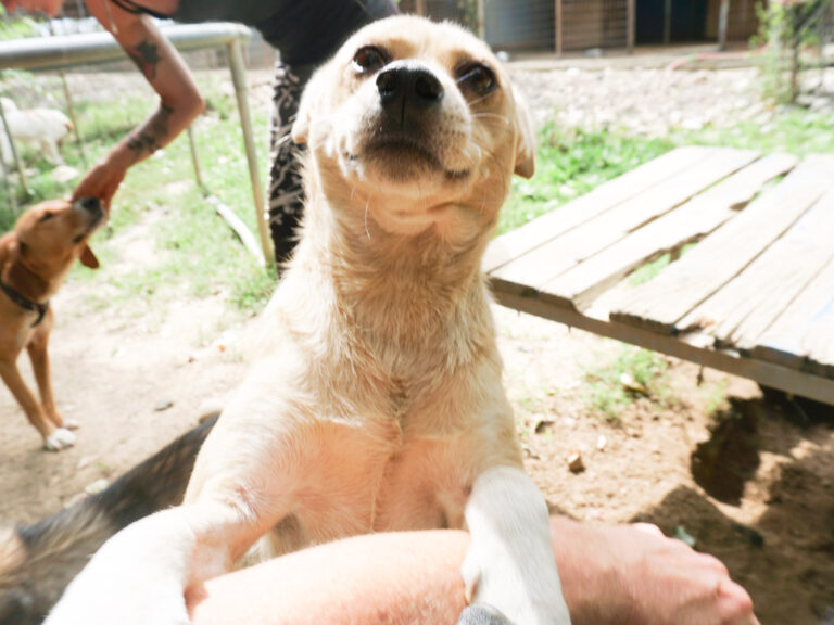 20250816-fotos-inessa-2