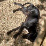 20250816-fotos-irma-1