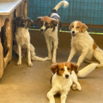 20250816-fotos-juliana-2