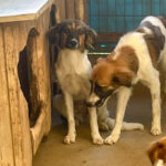 20250816-fotos-juliana-3