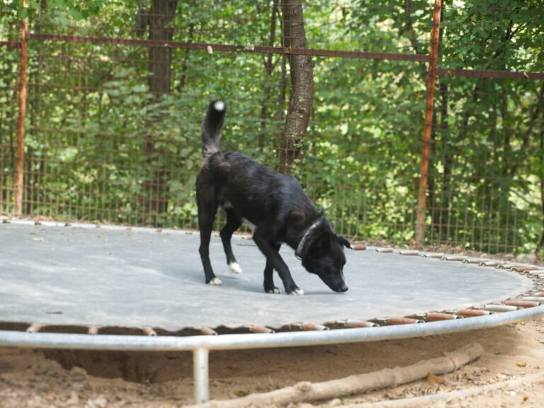 20250816-fotos-lewi-1