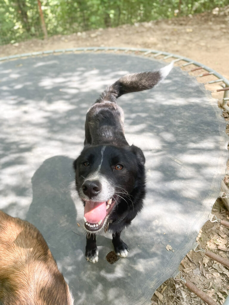 20250816-fotos-lewi-5