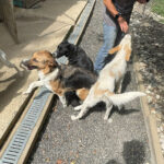 20250816-fotos-lima-03