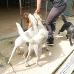 20250816-fotos-lima-05