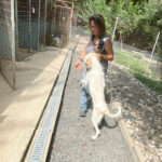 20250816-fotos-lima-06