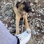 20250815-news-josephine-2