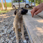 20250815-news-josephine-3