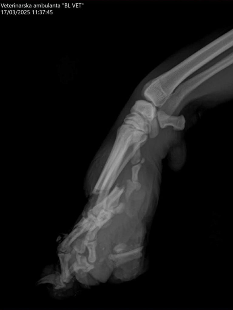 20250907-news-bark-3