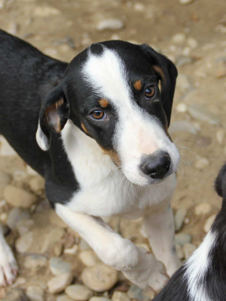 20250806-fotos-aurelio-01