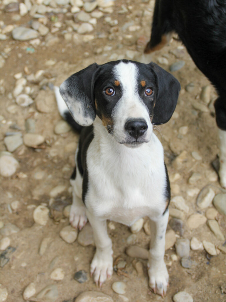 20250806-fotos-aurelio-02