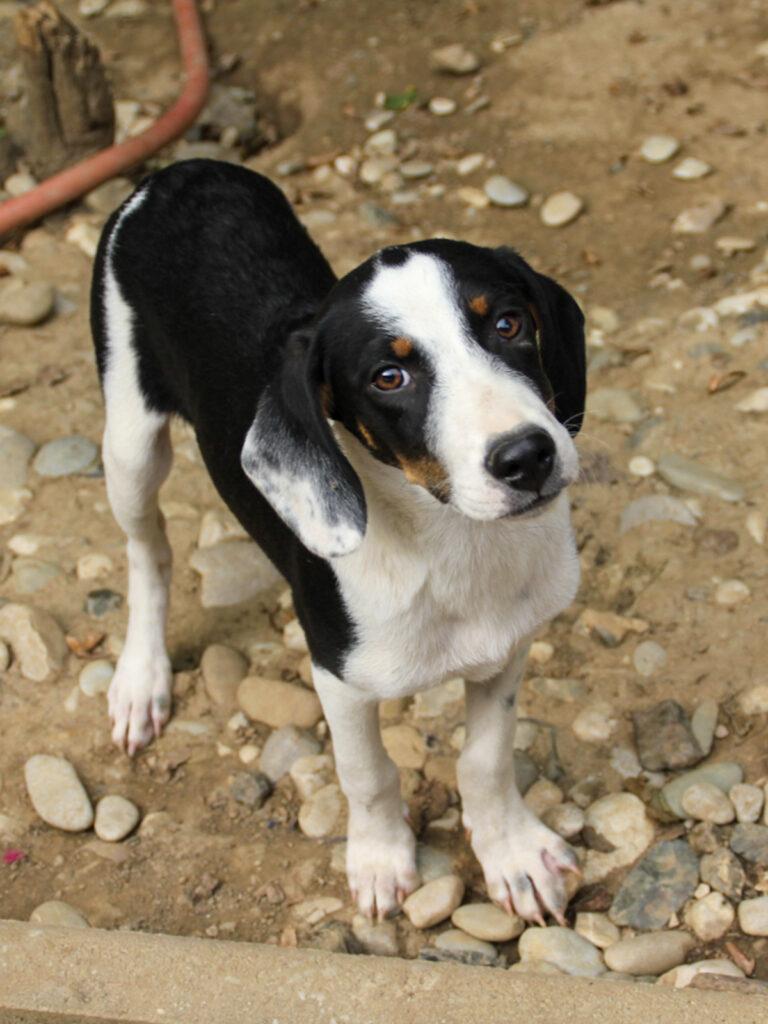 20250806-fotos-aurelio-04