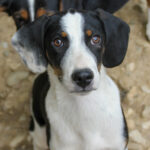 20250806-fotos-aurelio-06