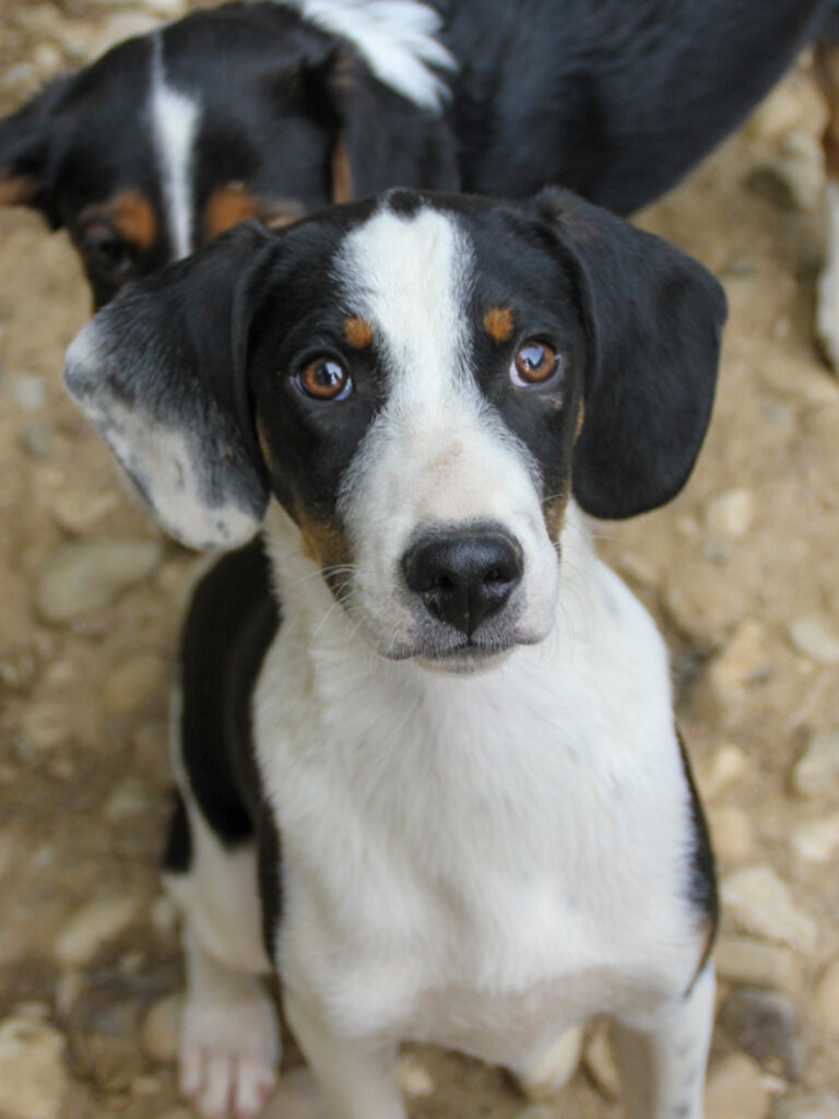 20250806-fotos-aurelio-06