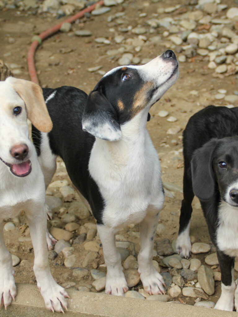 20250806-fotos-aurelio-08