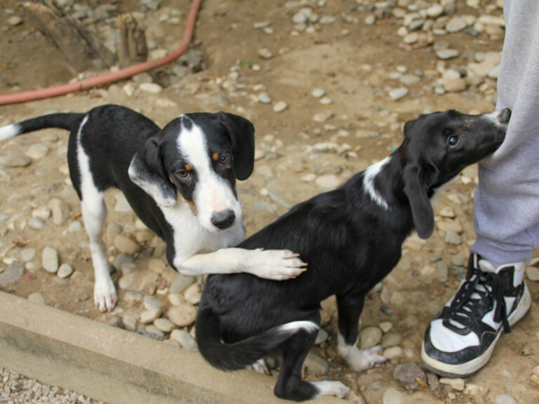 20250806-fotos-aurelio-09