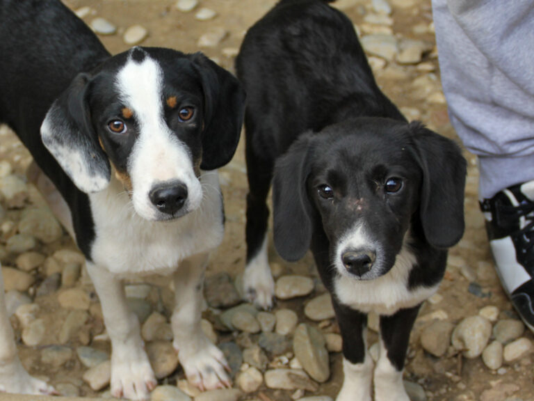 20250806-fotos-aurelio-10