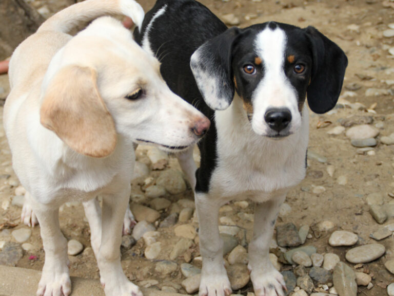 20250806-fotos-aurelio-13