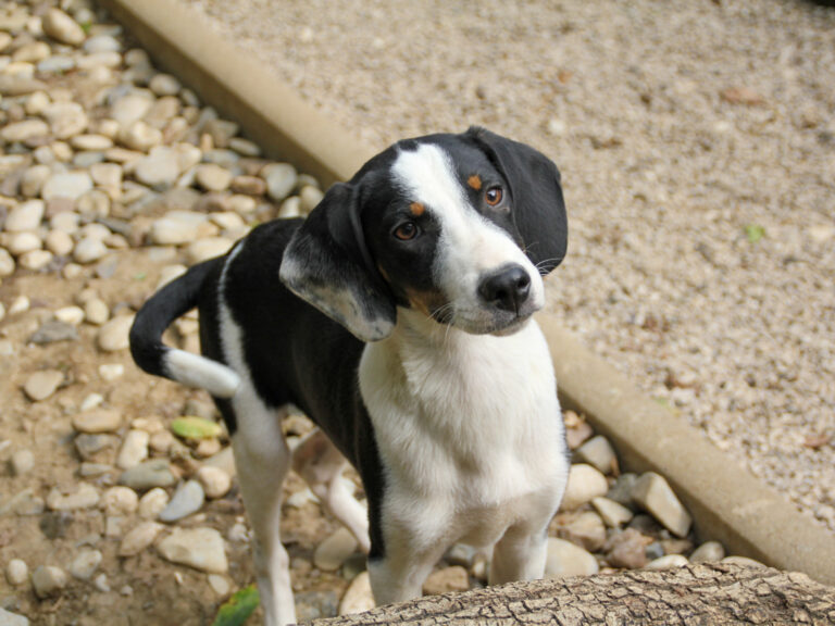 20250806-fotos-aurelio-14