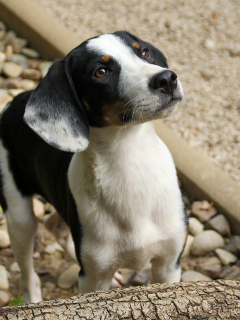 20250806-fotos-aurelio-15