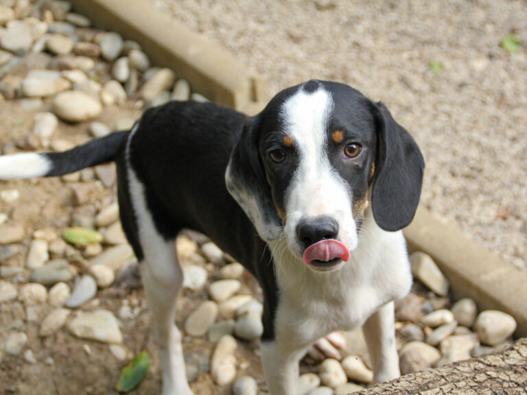 20250806-fotos-aurelio-16