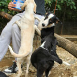 20250806-fotos-aurelio-18