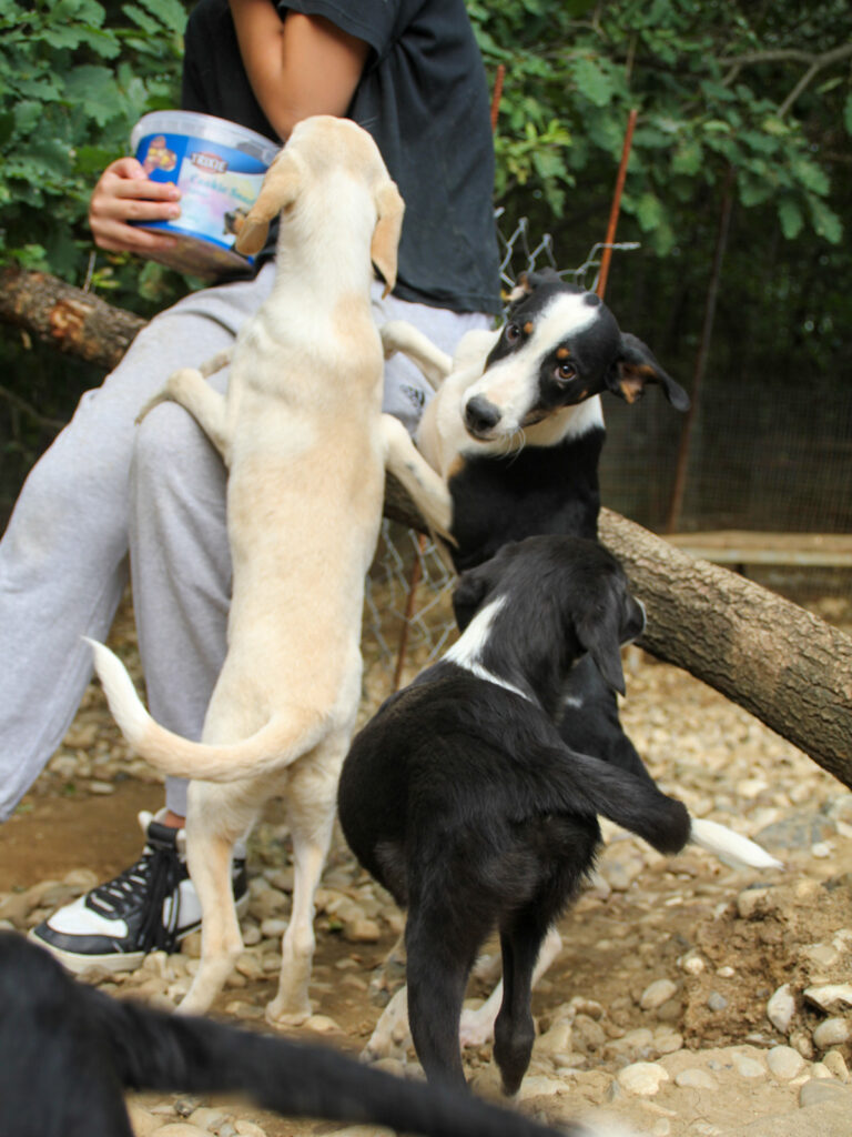 20250806-fotos-aurelio-18