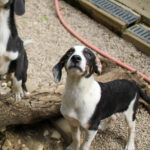 20250806-fotos-aurelio-19