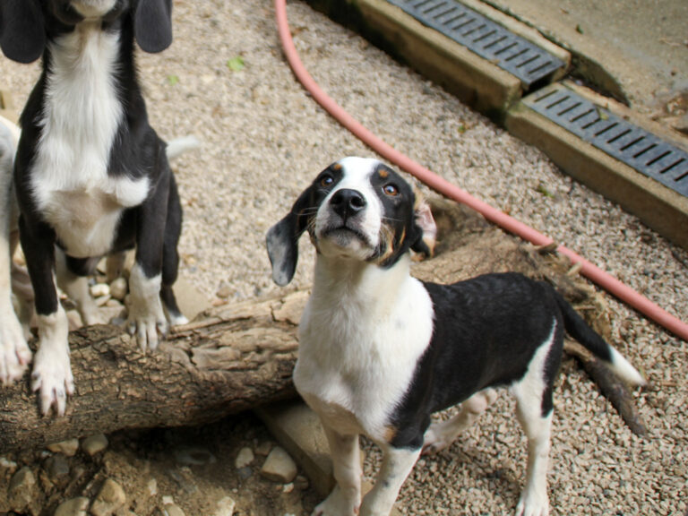 20250806-fotos-aurelio-19