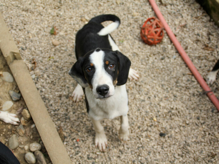 20250806-fotos-aurelio-21