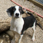 20250806-fotos-aurelio-23