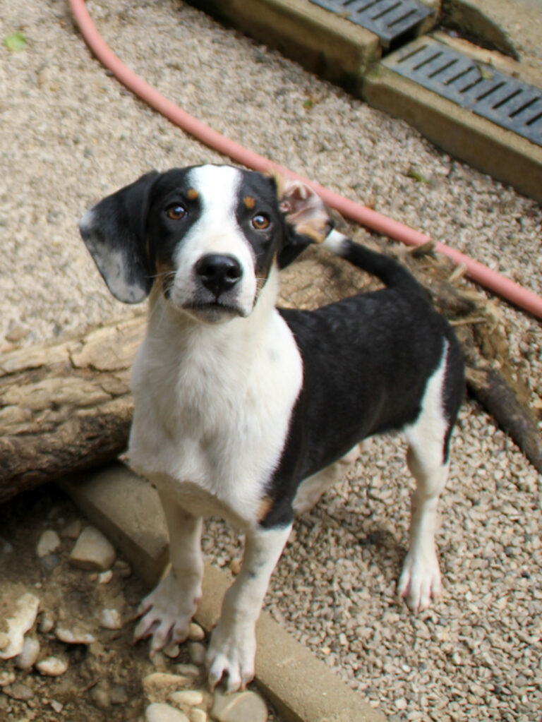 20250806-fotos-aurelio-23