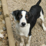 20250806-fotos-aurelio-24