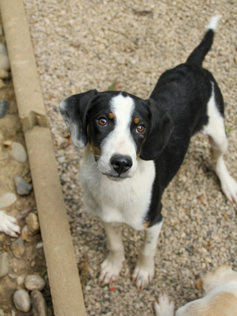 20250806-fotos-aurelio-24