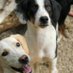 20250806-fotos-aurelio-25