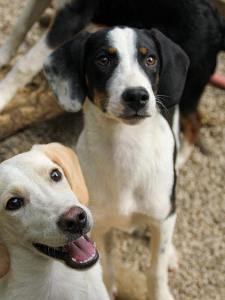 20250806-fotos-aurelio-25