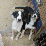 20250806-fotos-aurelio-27