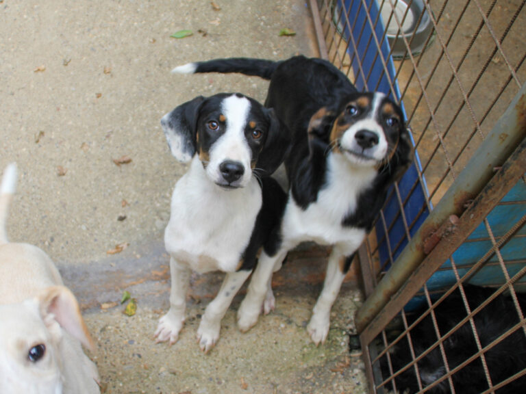 20250806-fotos-aurelio-27