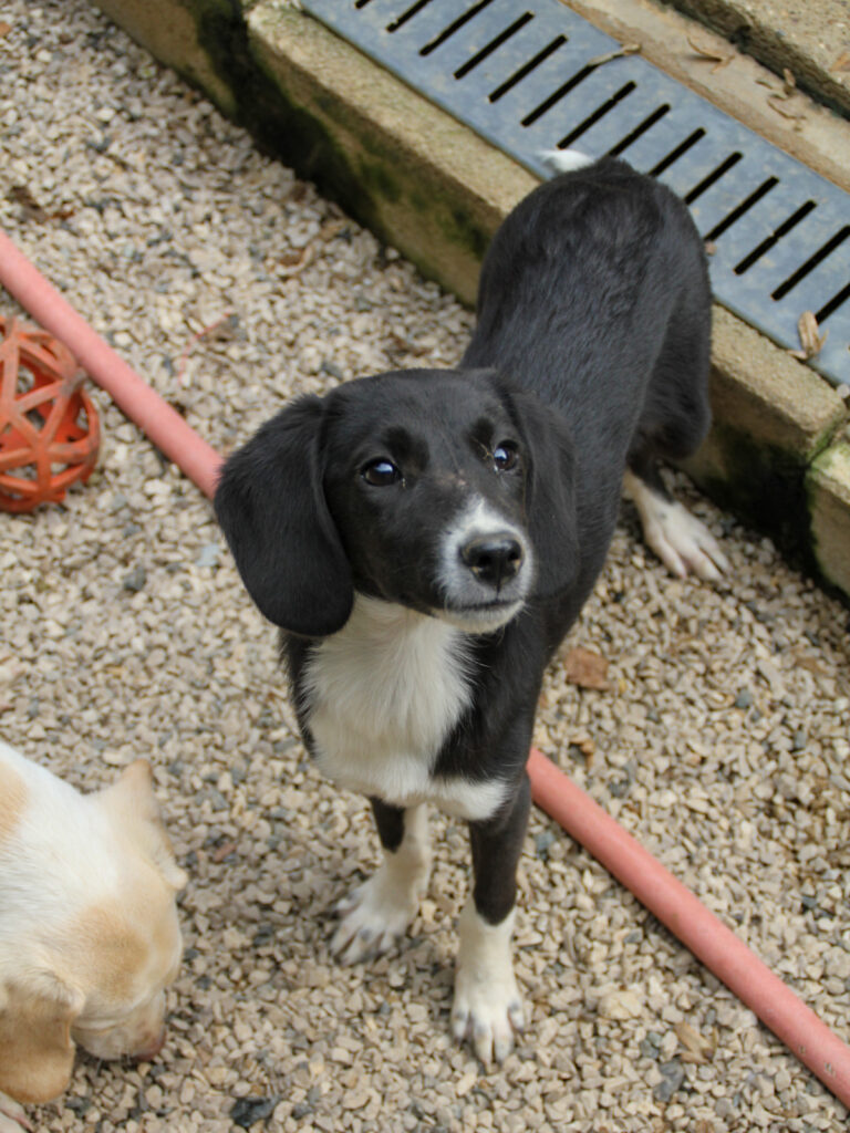 20250806-fotos-flavia-01