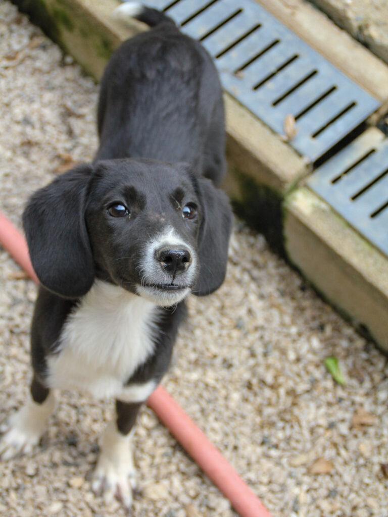 20250806-fotos-flavia-02