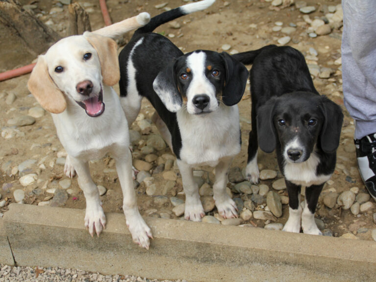 20250806-fotos-flavia-03