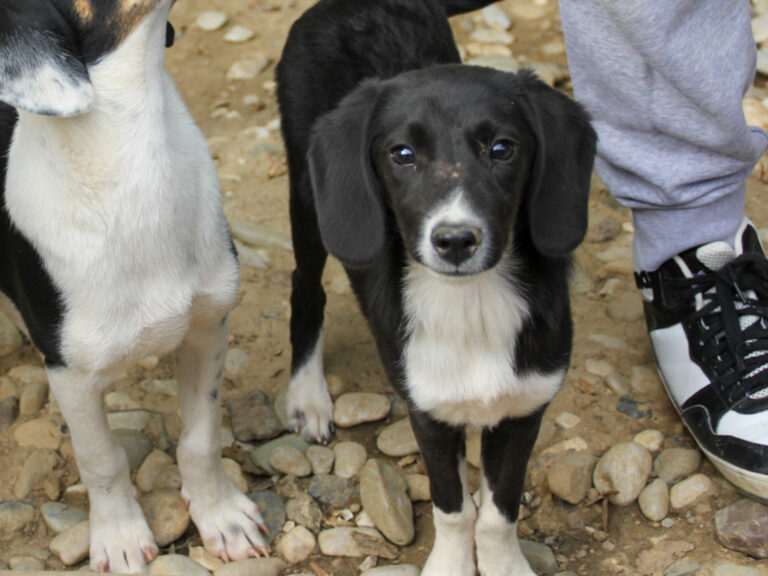 20250806-fotos-flavia-04