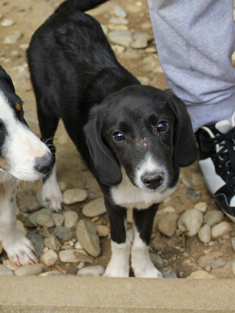 20250806-fotos-flavia-06